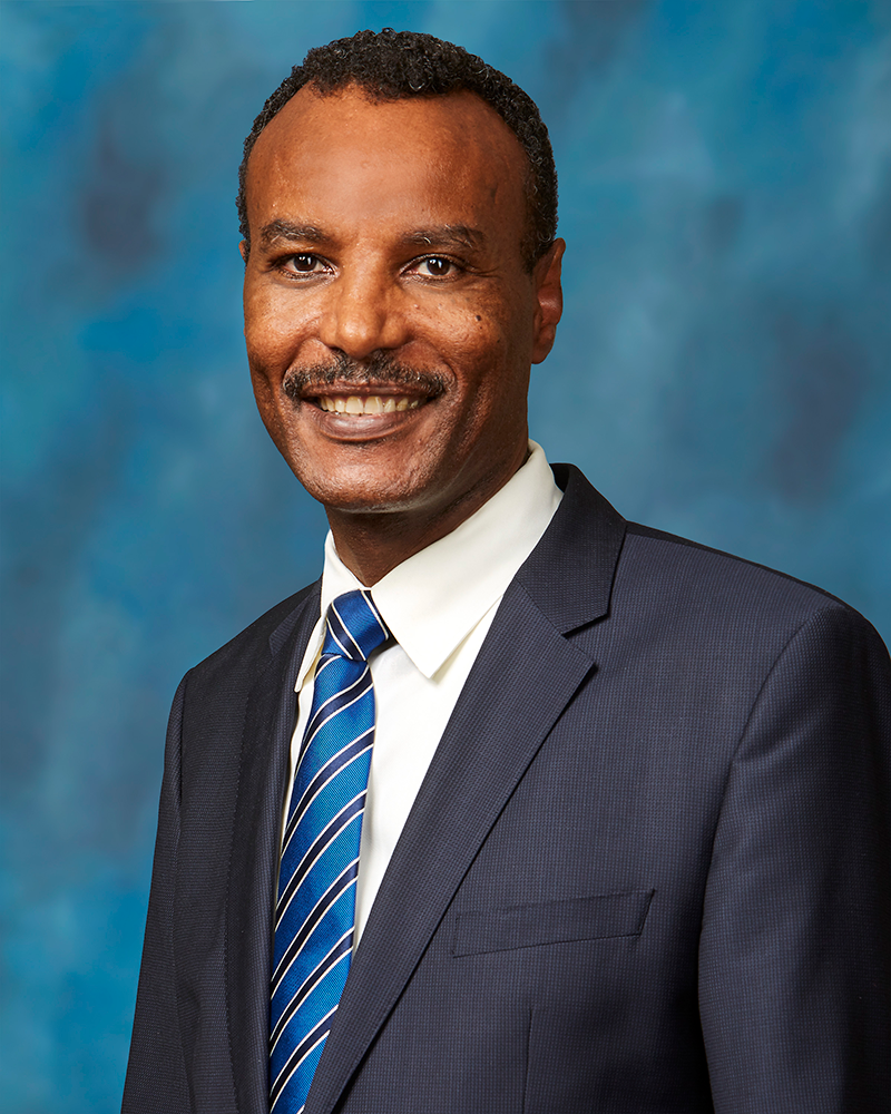 Girum Lemma, MD, hematologist oncologist, oncology physician, best oncologists in Minnesota